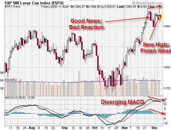 S&P Large Cap Index ($SPX)