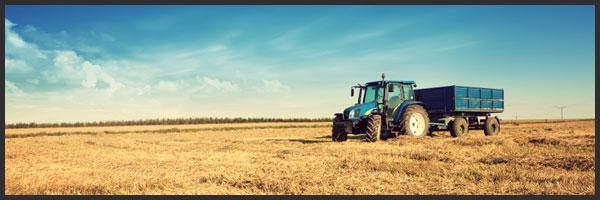 http://www.investmentu.com/wp-content/uploads/2012/02/investing-in-agriculture.jpg