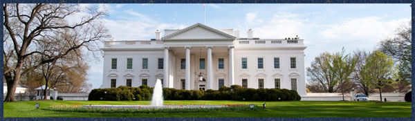 History suggests that the stock market and the presidential election cycle follow predictable patterns. How should election year affect your investment strategy? Election Year Stock Market